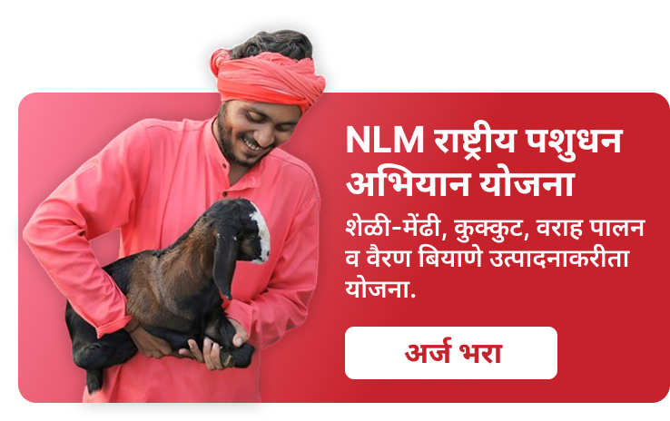 NLM राष्ट्रीय पशुधन अभियान योजना - 5